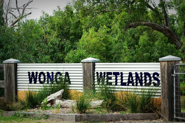1. Wonga Wetlands