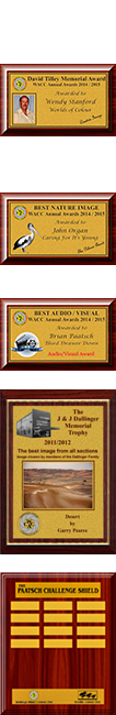 Major Awards