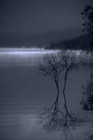 Misty Dawn