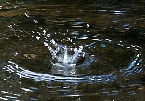 Splash (Shutter Speed Test)by Eric