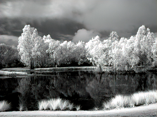 Lake view