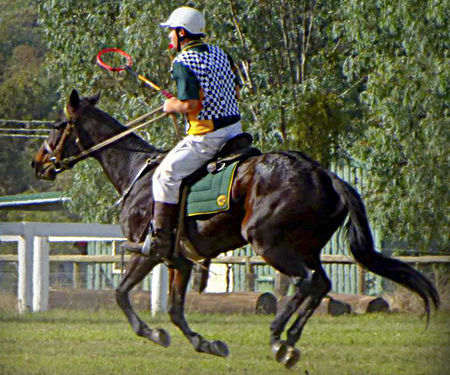 Photography by  Eric BocquetPanasonic DMC TZ30 f5.9 - 1/500 ISO 100