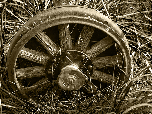CirclesPhotography by Pam 	Haysom