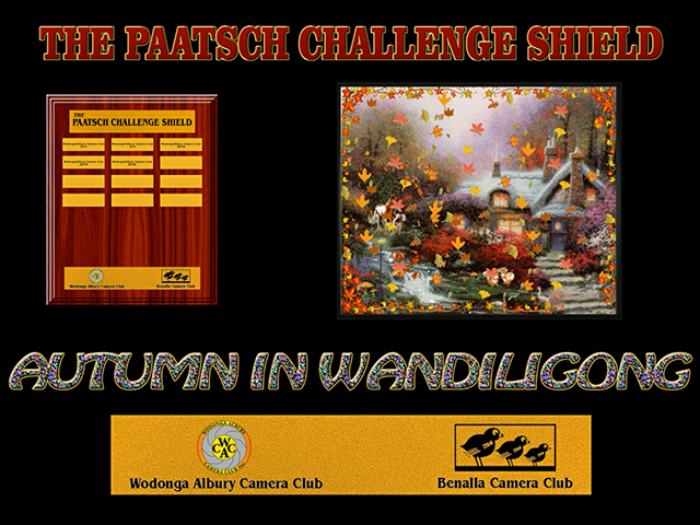 Paatsch Shield 2017