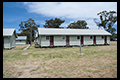 Bonegilla