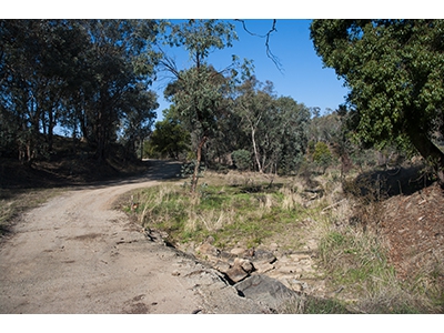 Start of Prune St Lavington